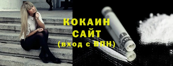 тгк Нея