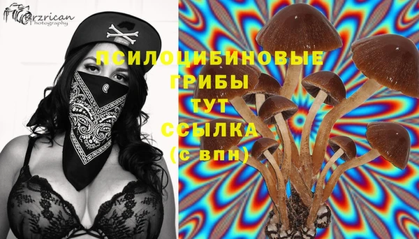 jwh Нефтегорск