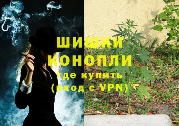 тгк Нея