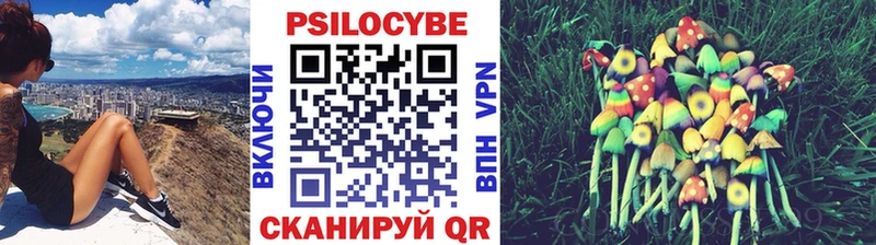 Псилоцибиновые грибы Cubensis  Спасск-Рязанский 