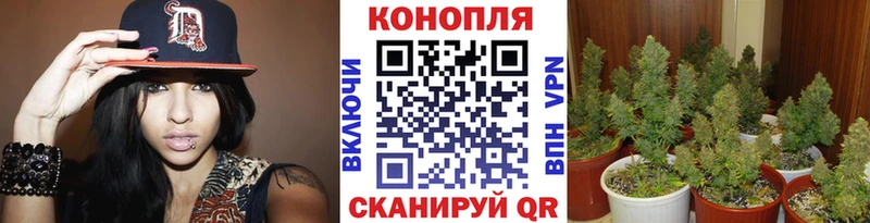 Бошки Шишки конопля mega ссылки Спасск-Рязанский